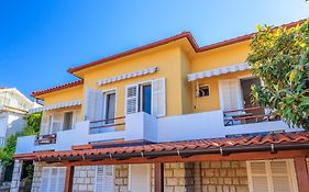 Apartment Villa Strenja